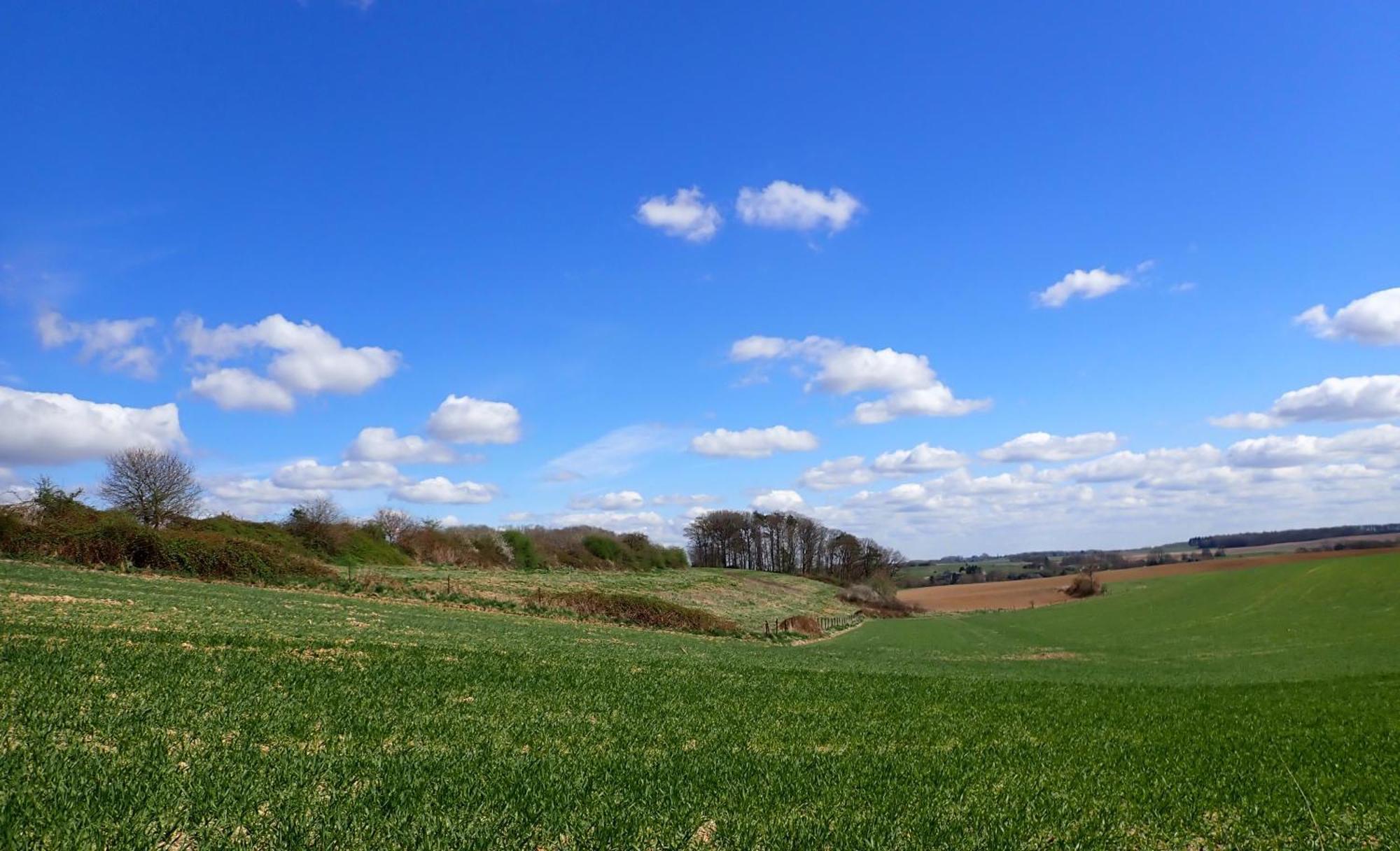 Landhaus Yourte Tatane Gerpinnes